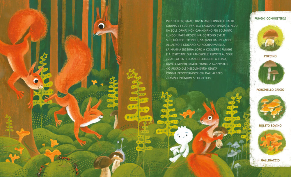 Stanecka_Cucù-racconta-Lo-Scoiattolo-della-foresta_impaginato-DEF3